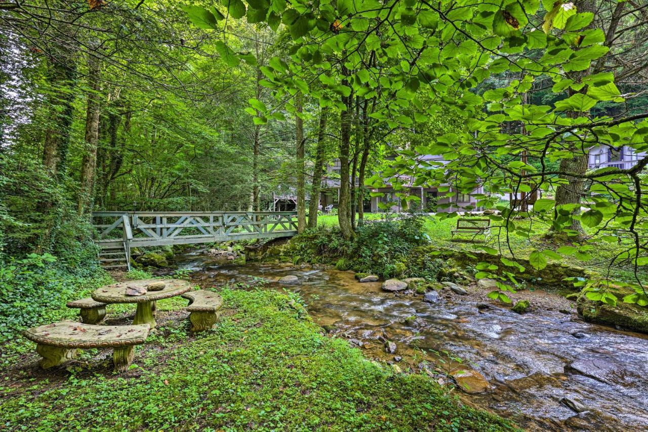 Roan Mountain Creekside Cabin Hike And Fish! Esterno foto