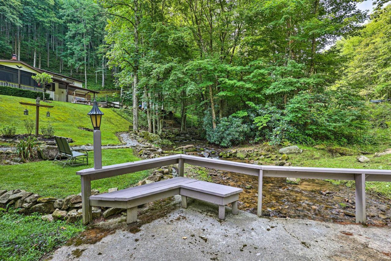 Roan Mountain Creekside Cabin Hike And Fish! Esterno foto