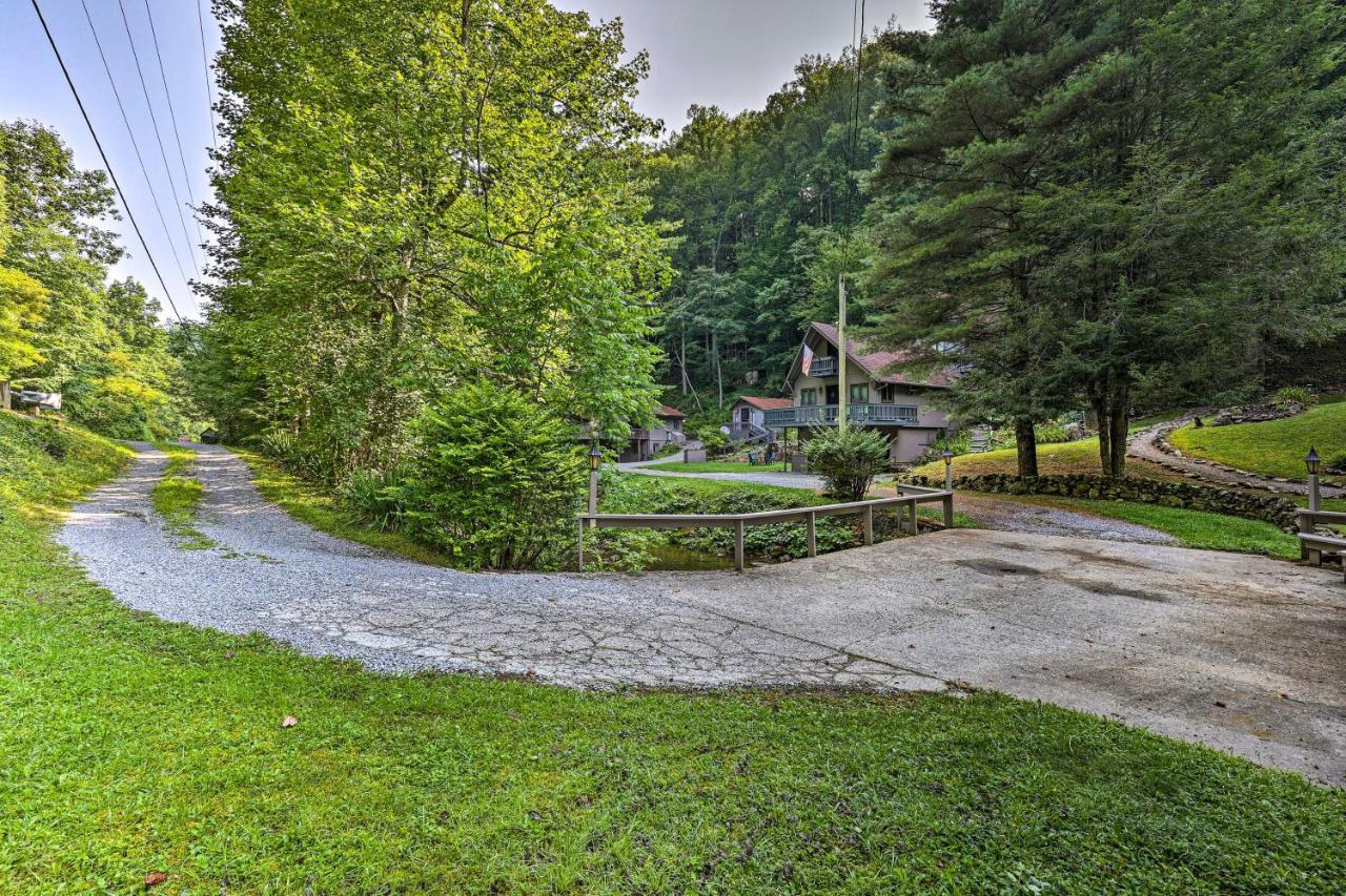 Roan Mountain Creekside Cabin Hike And Fish! Esterno foto