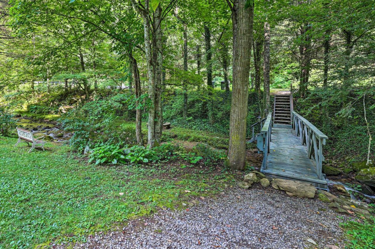 Roan Mountain Creekside Cabin Hike And Fish! Esterno foto